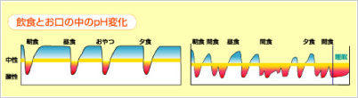 飲食とお口の中のpH変化
